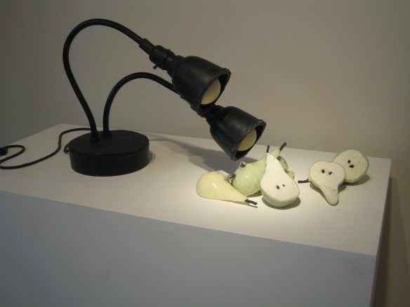 trip to arlington 060