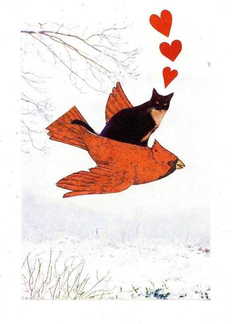 cardinal with cat