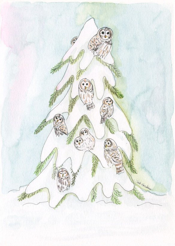LowRes-signed-Dark_Owls-in-Snowy-Evergreen